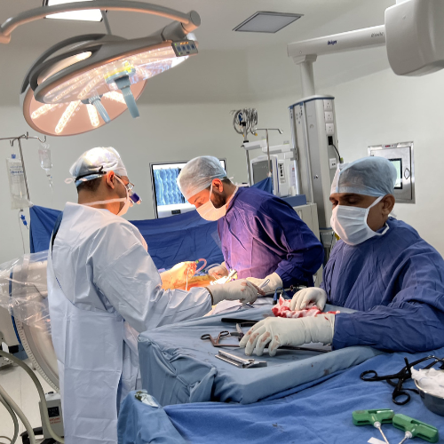 Lumbar Spine Surgery