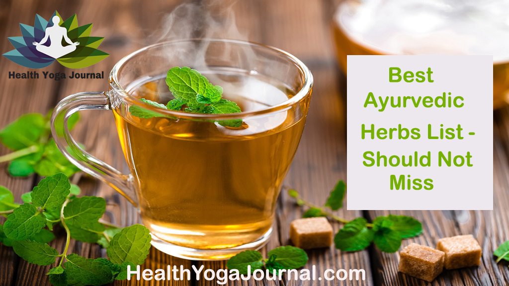 Best Ayurvedic Herbs List - Should Not Miss